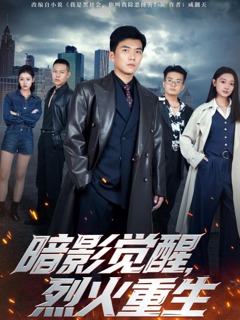 暗影觉醒，烈火重生封面图