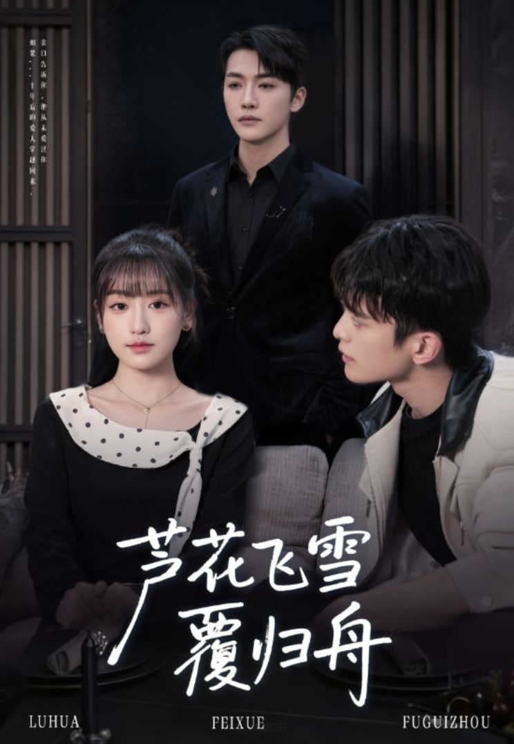 芦花飞雪覆归舟封面图