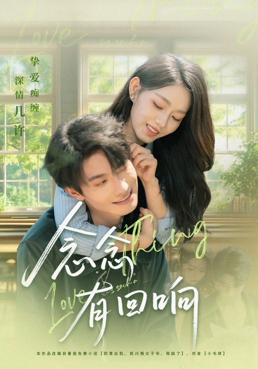 念念有回响封面图