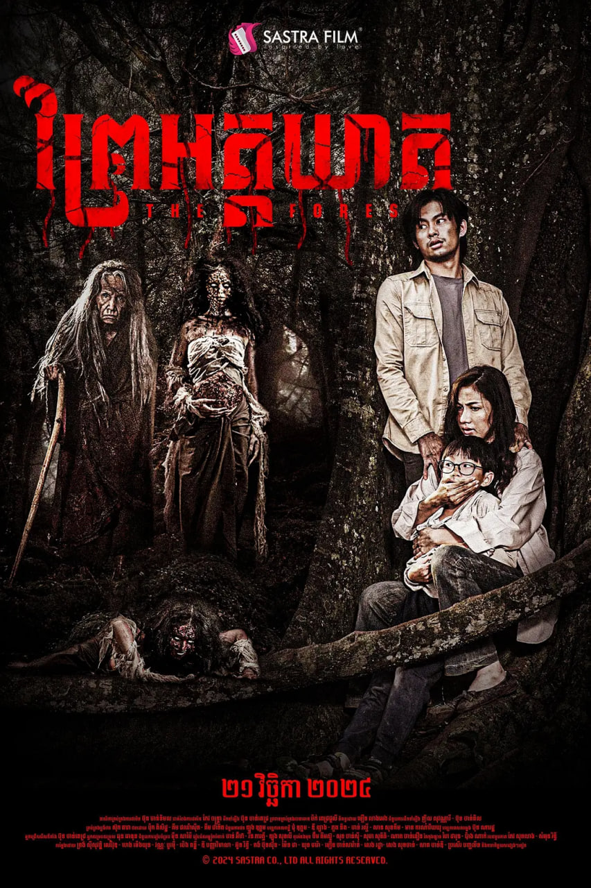 白色森林封面图