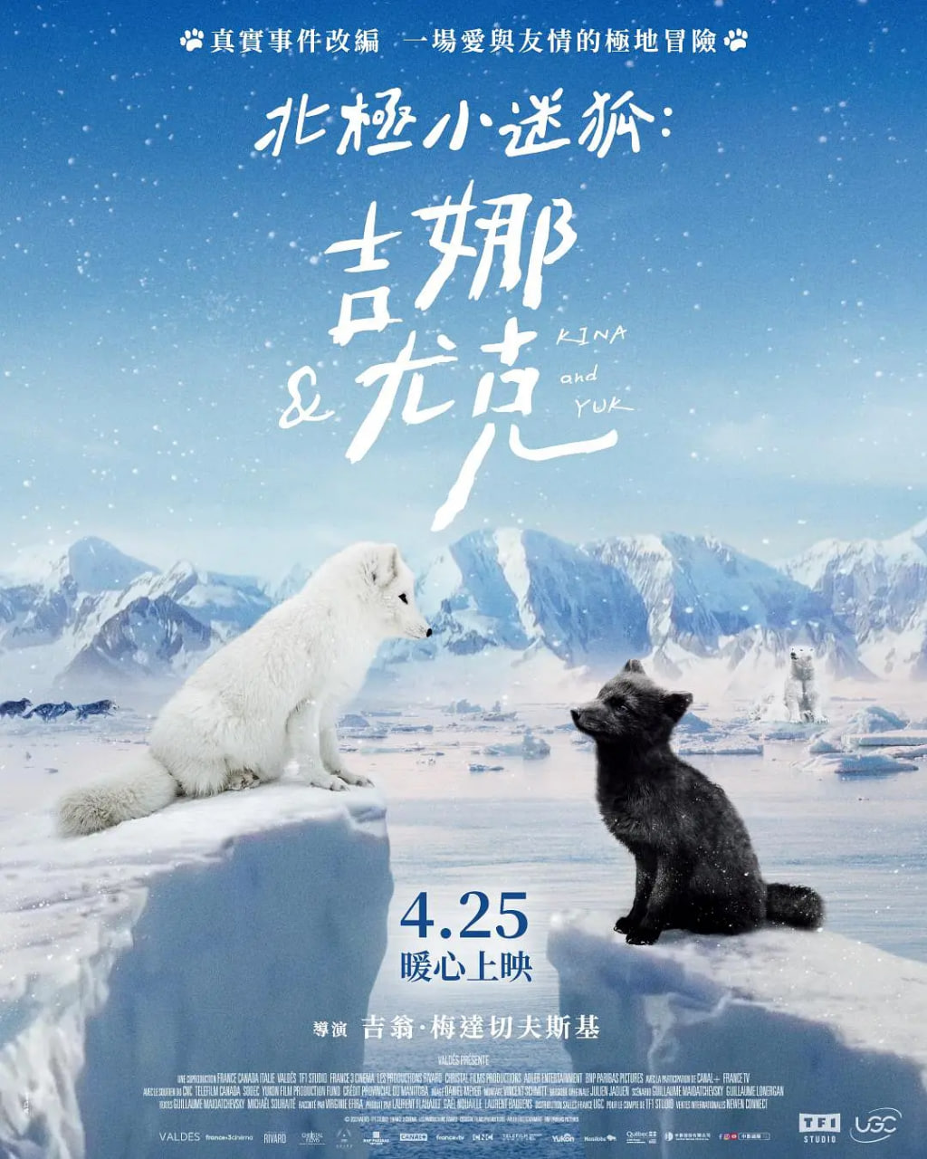 北极小迷狐：吉娜和尤克封面图