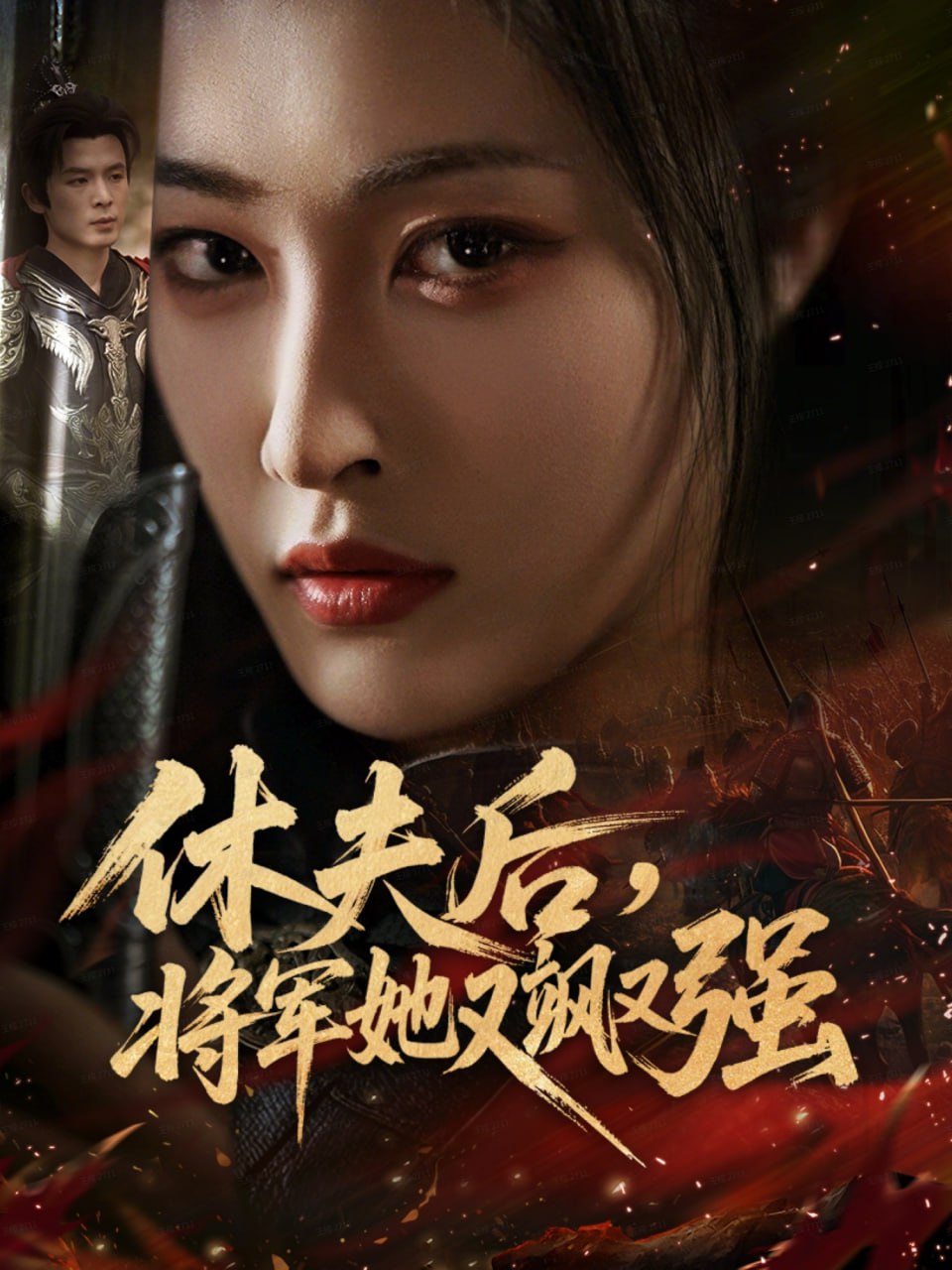 休夫后，将军她又飒又强封面图