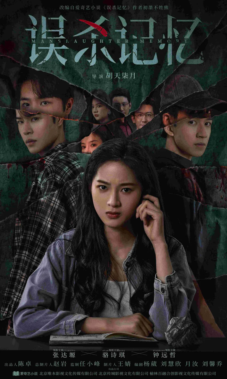 误杀记忆封面图