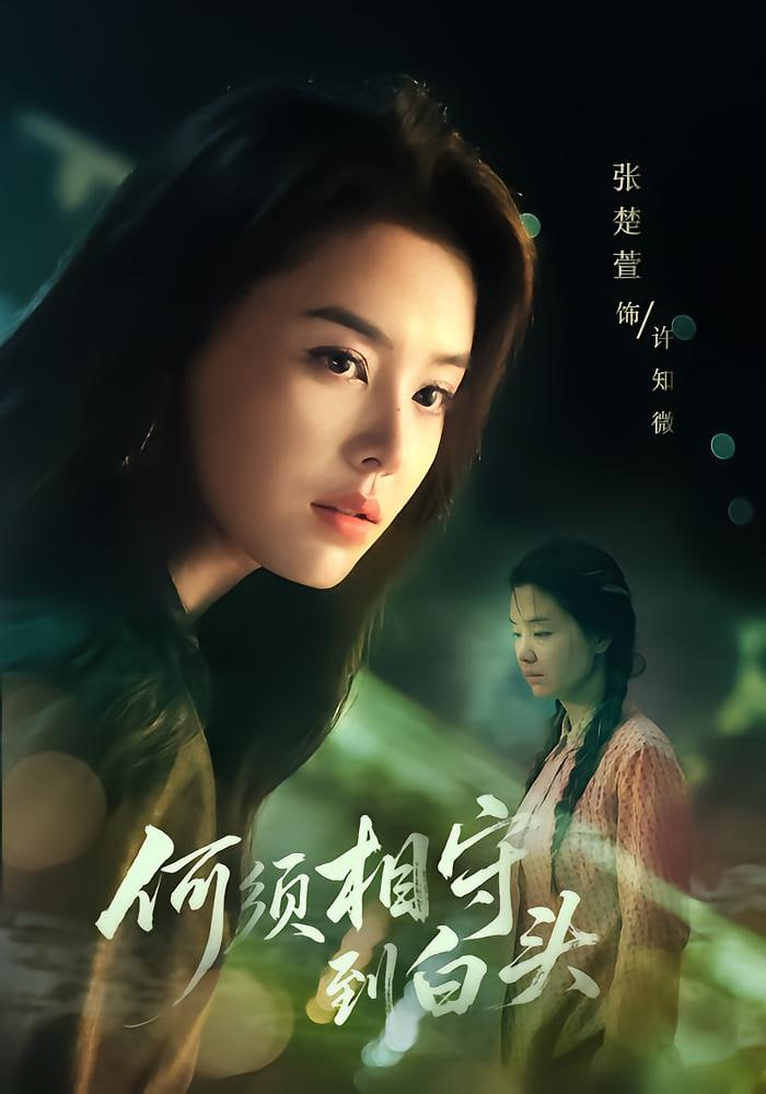 何须相守到白头封面图