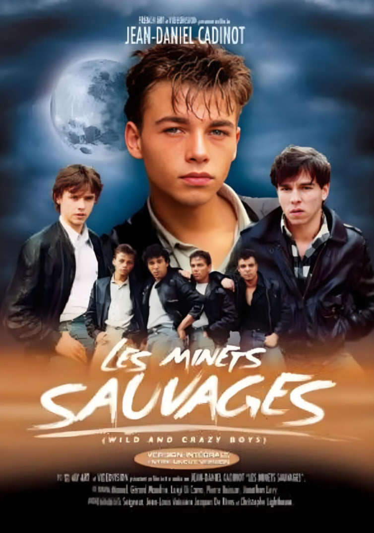 流浪爱侣封面图