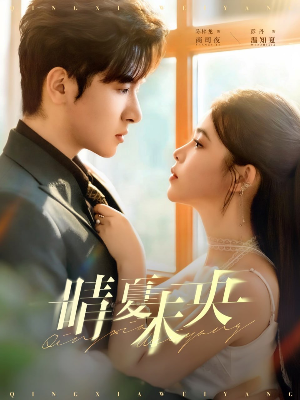 晴夏未央封面图