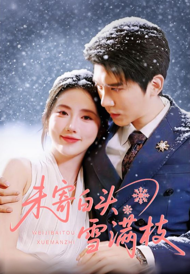 未寄白头雪满枝封面图