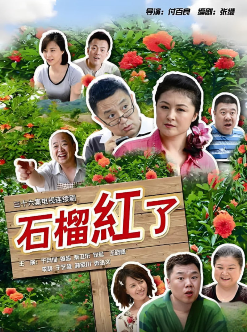 火红的日子封面图