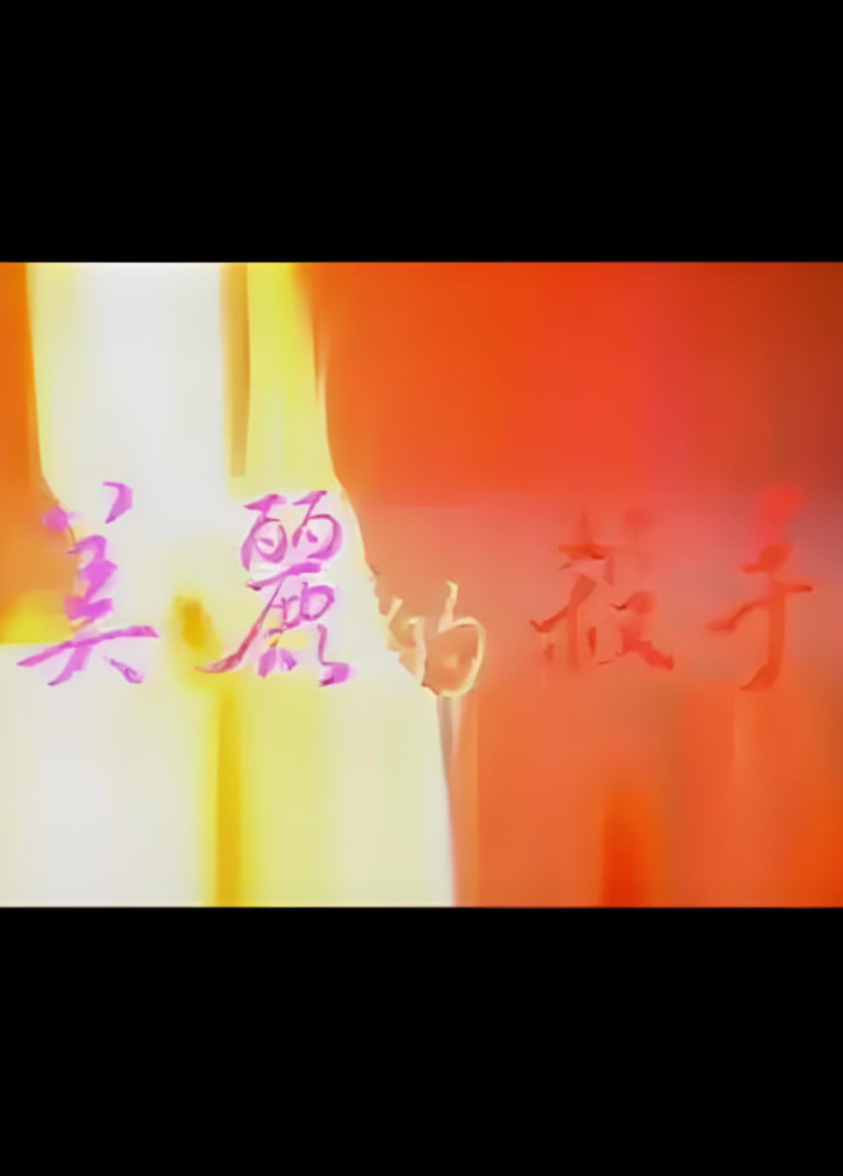 美丽的杀手封面图