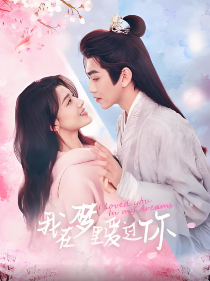 我在梦里爱过你封面图