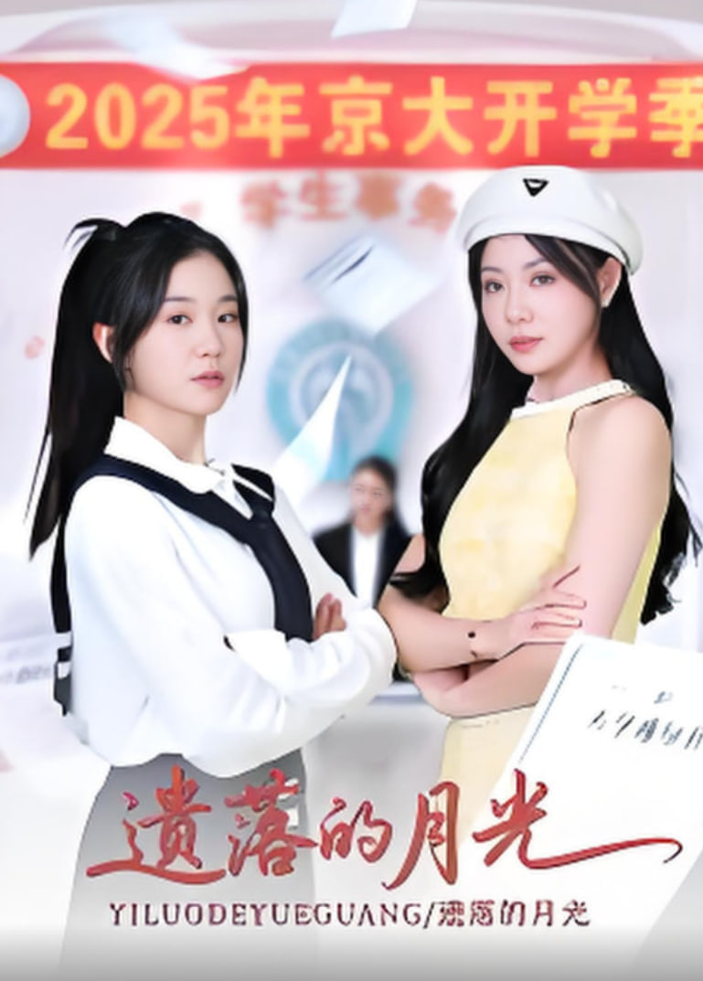 遗落的月光封面图