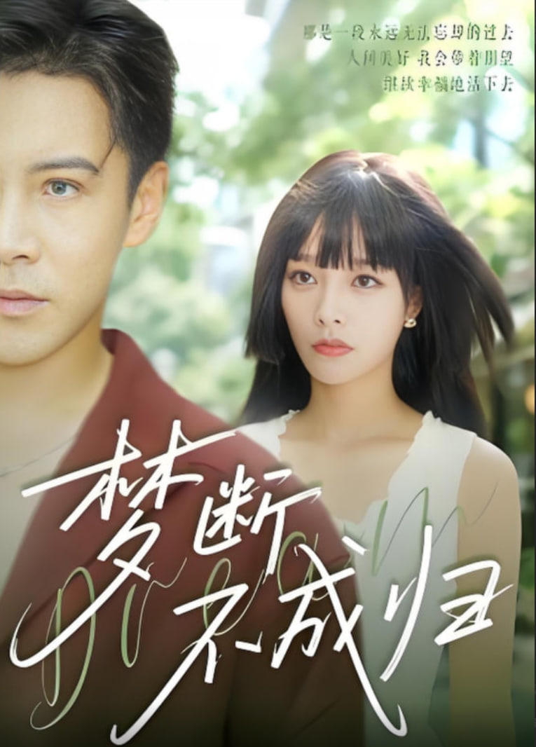 梦断不成归封面图