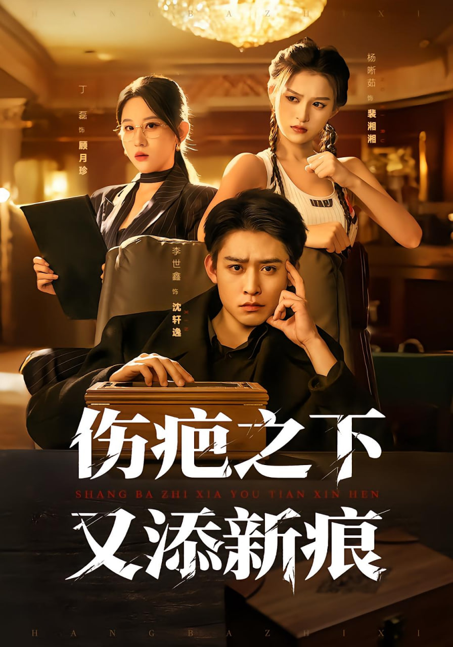伤疤之下又添新痕封面图