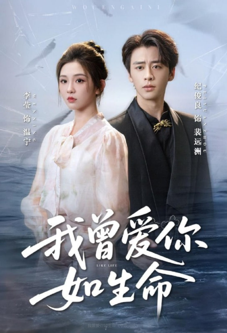 我曾爱你如生命（宁夜向远）封面图