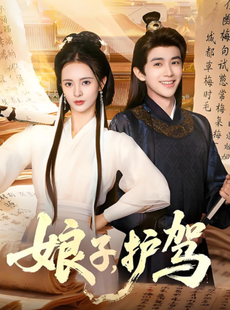 娘子护驾封面图