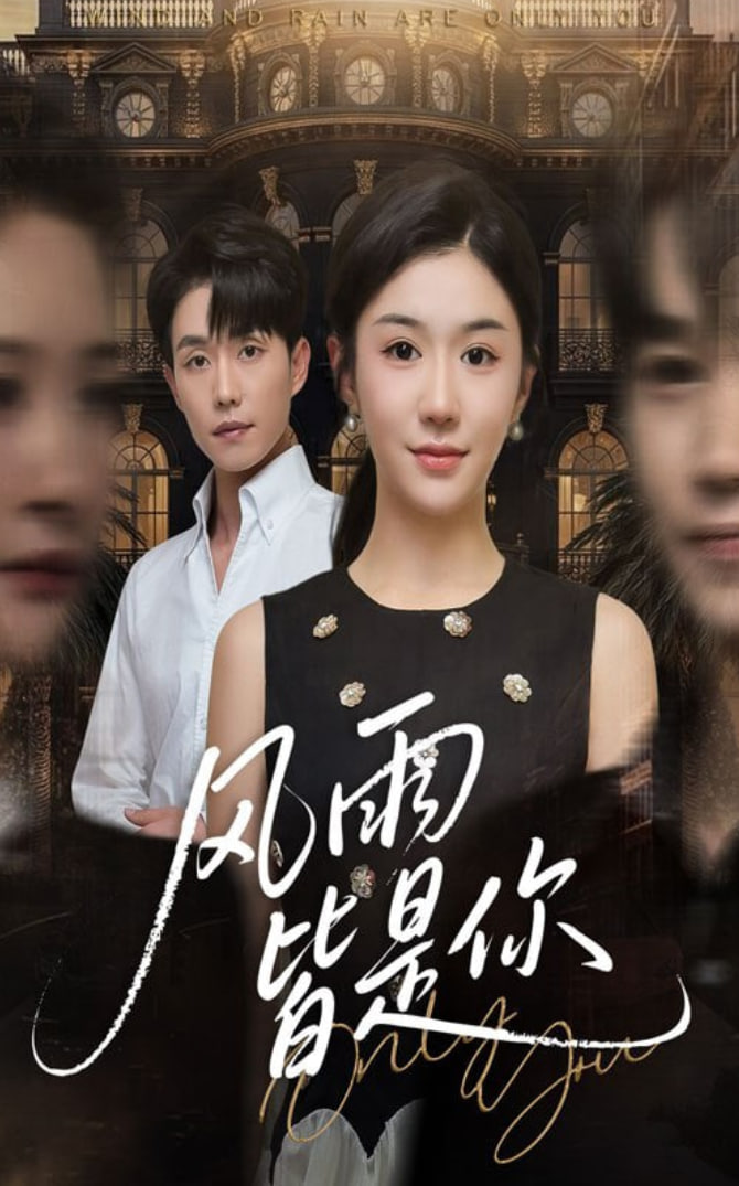 风雨皆是你封面图