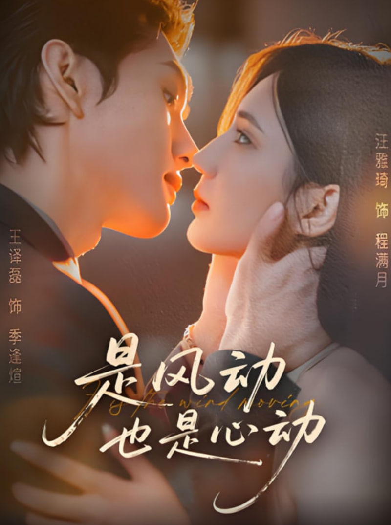 是风动也是心动封面图