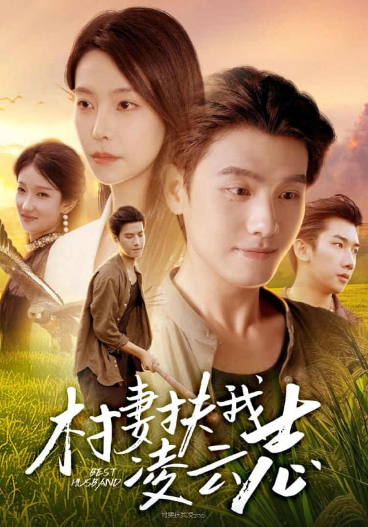 村妻扶我凌云志封面图