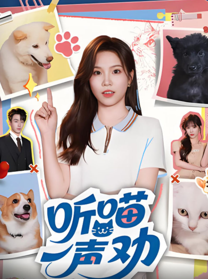 听喵一声劝封面图