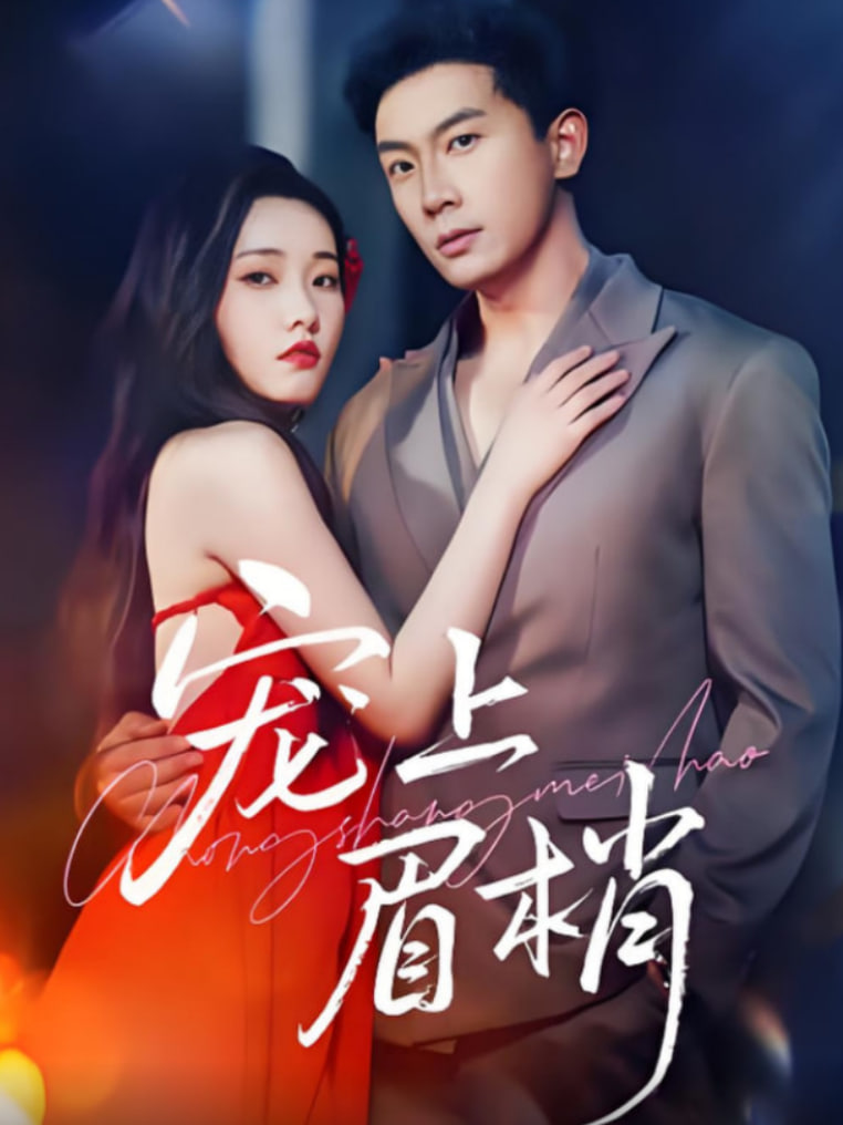 宠上眉梢封面图