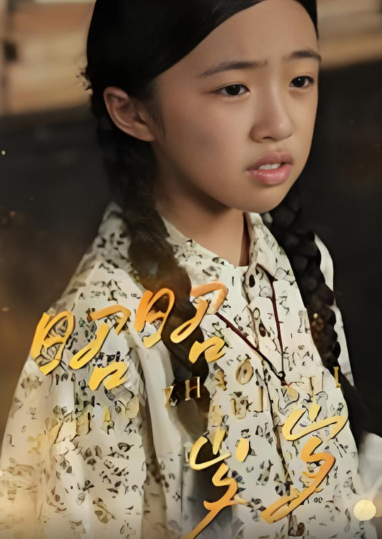 昭昭岁岁封面图