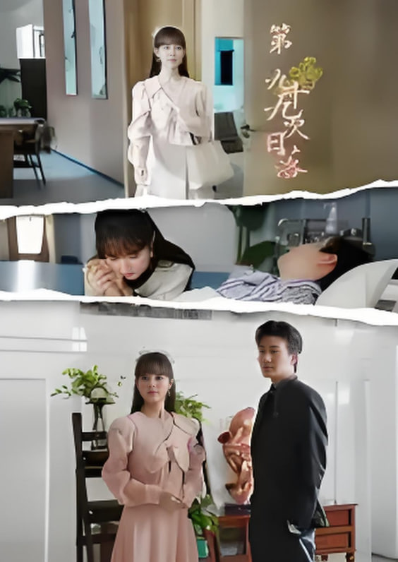 第九十九次日落封面图