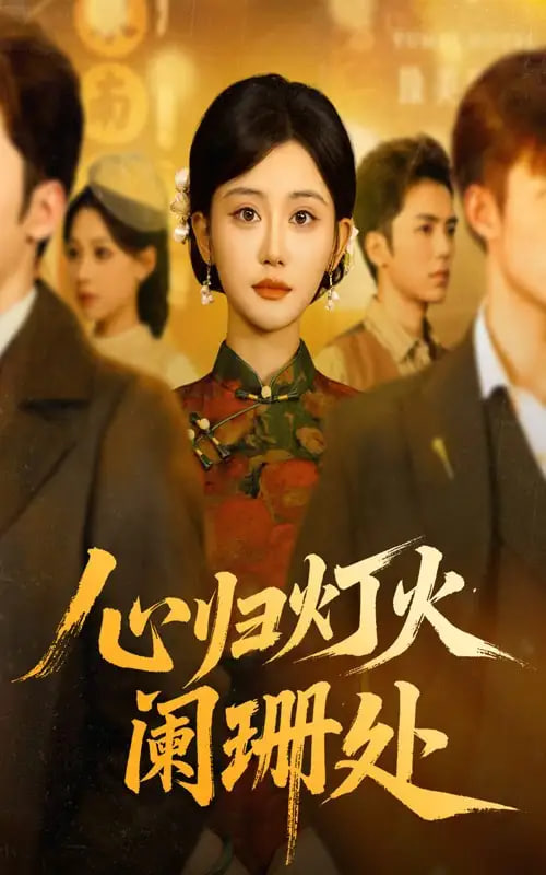 心归灯火阑珊处封面图