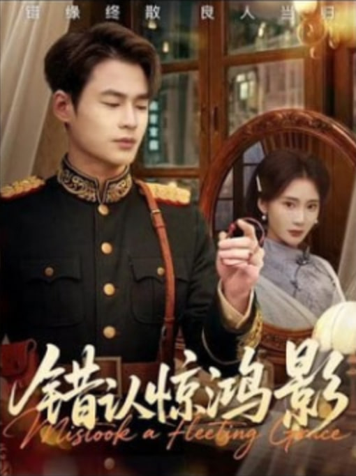 错认惊鸿影封面图