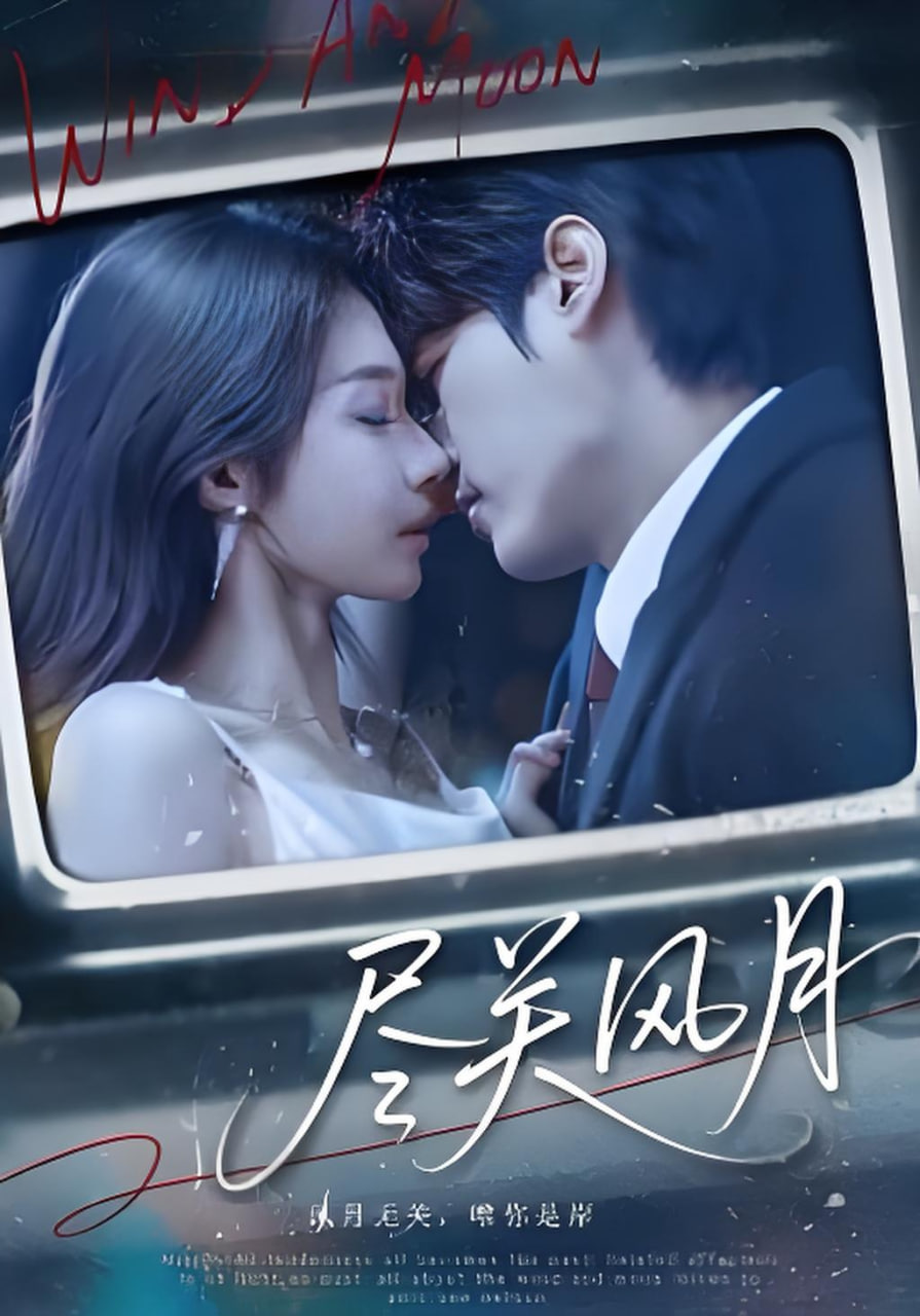 尽关风月封面图