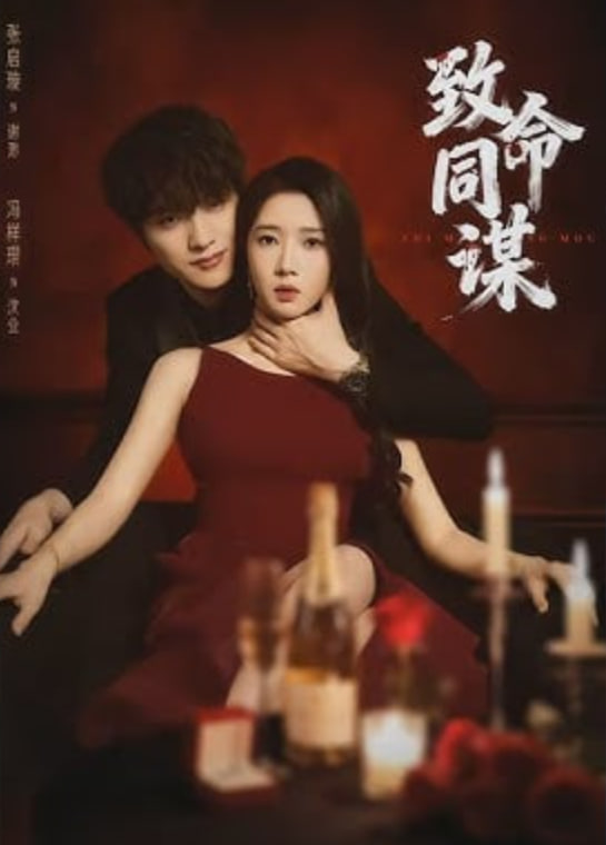 致命同谋封面图