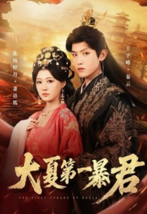 大夏第一暴君封面图