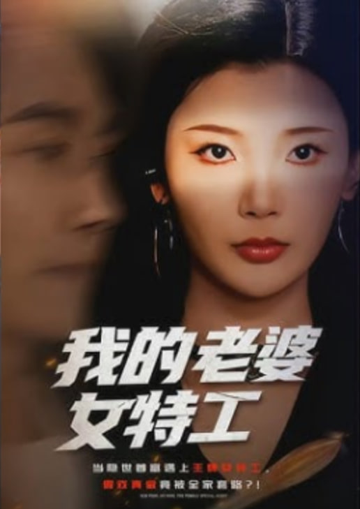 我的老婆女特工封面图