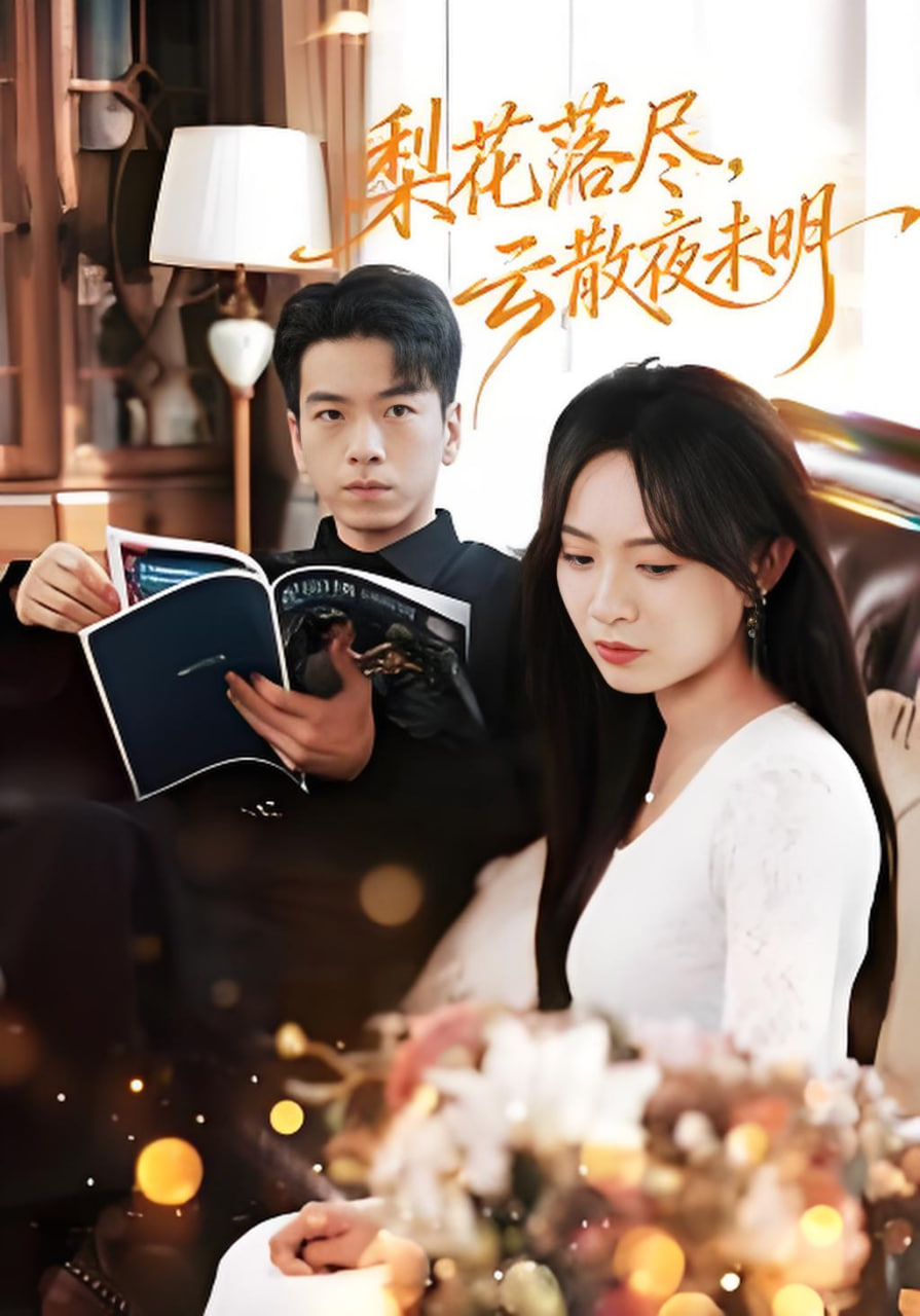 梨花落尽，云散夜未明封面图