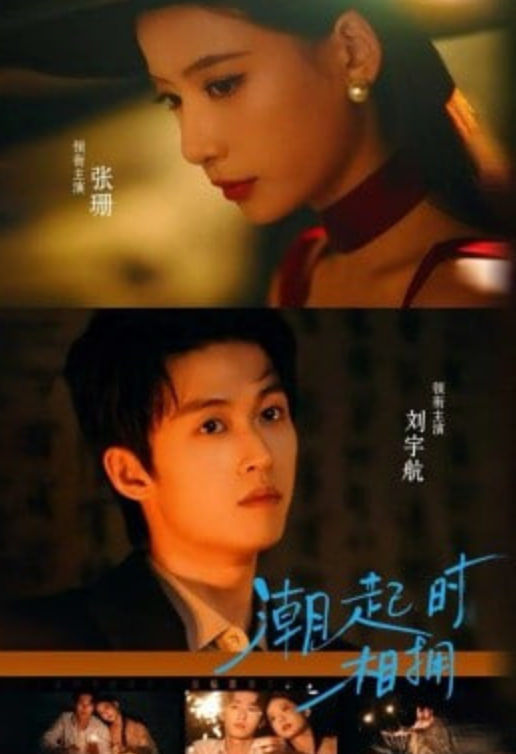 潮起时相拥封面图