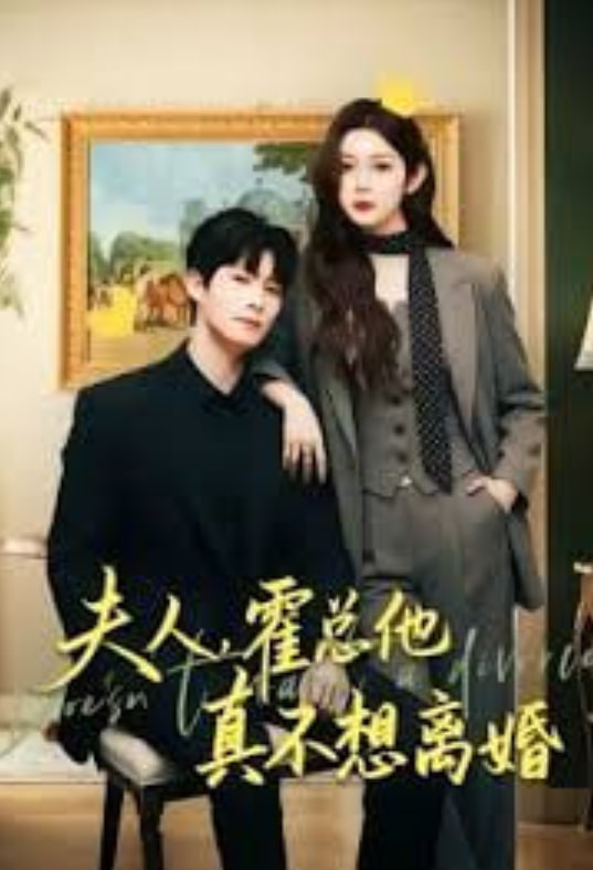 夫人，霍总他真不想离婚封面图