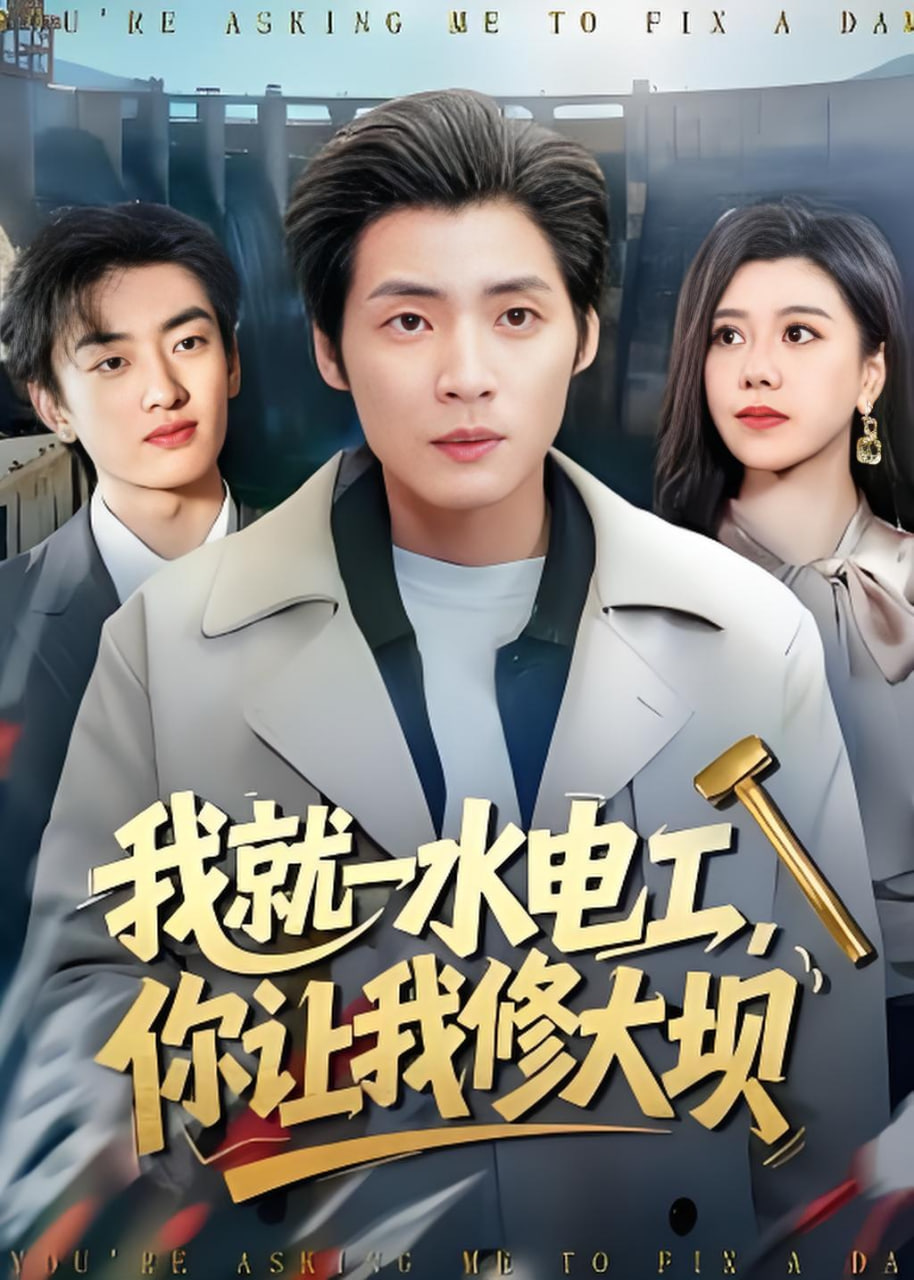 我就一水电工，你让我修大坝封面图