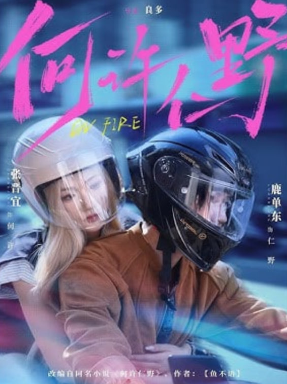 何许仁野封面图