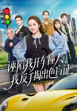 诬陷我开车撞人，我反手掏出色盲证封面图