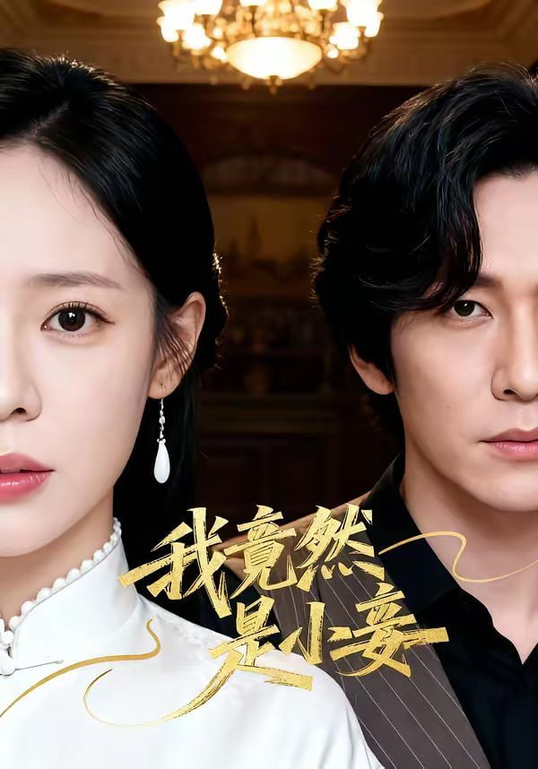 我竟然是小妾封面图