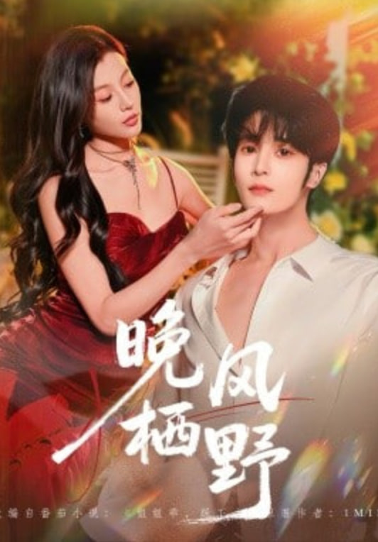 晚风栖野封面图