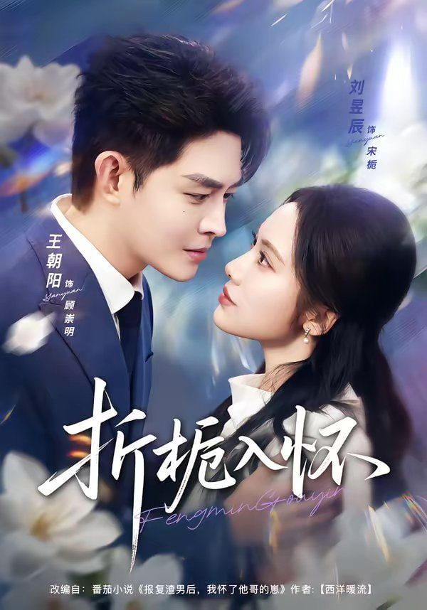 天才高手封面图