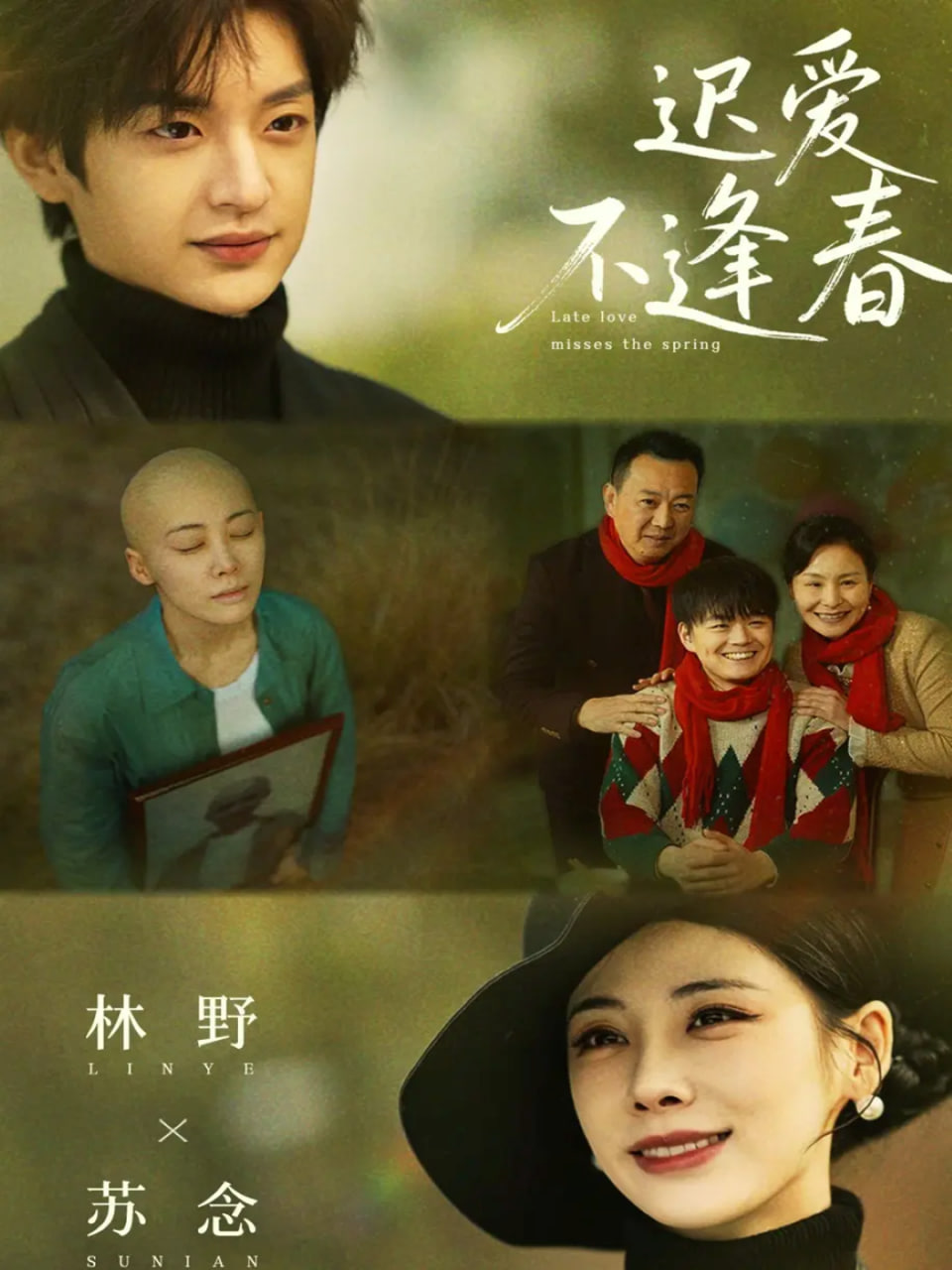 迟爱不逢春封面图