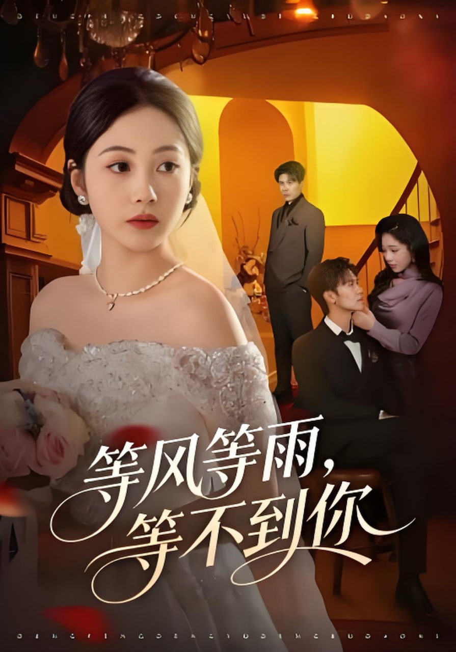 等风等雨，等不到你封面图