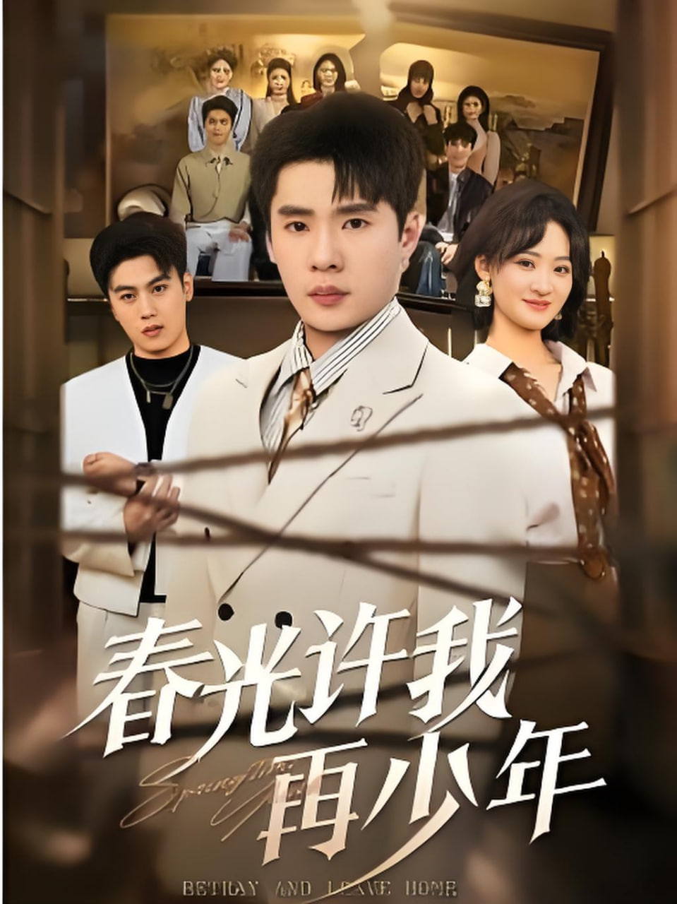 春光许我再少年封面图