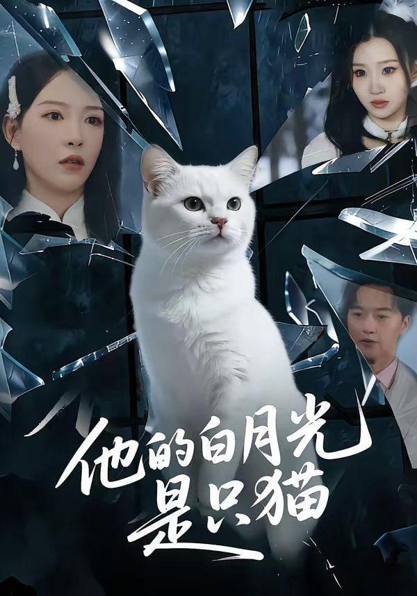 他的白月光是只猫封面图