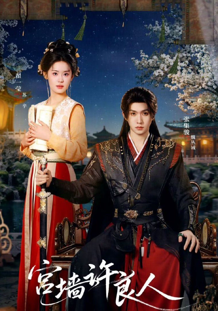 宫墙许良人封面图