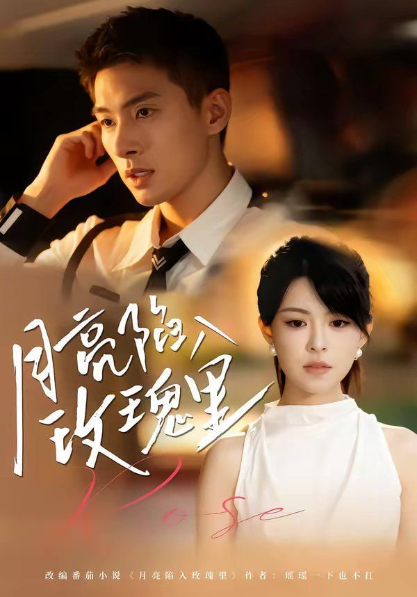 月亮陷入玫瑰里封面图