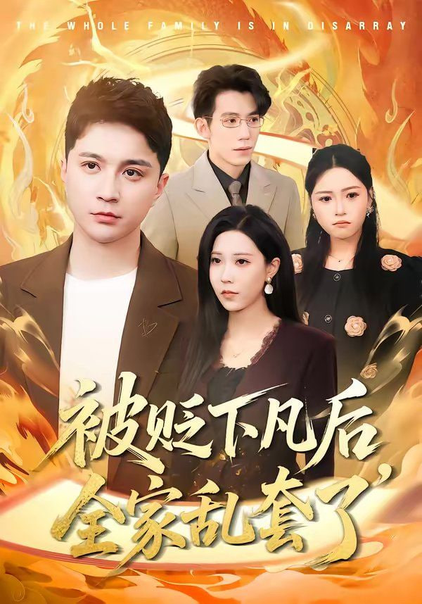 被贬下凡后全家乱套了封面图