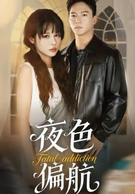 夜色偏航封面图