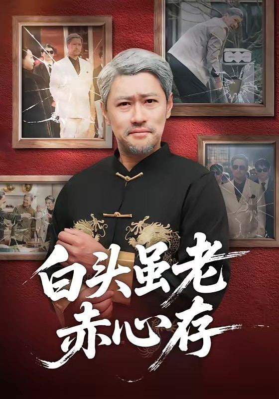 白头虽老赤心存封面图
